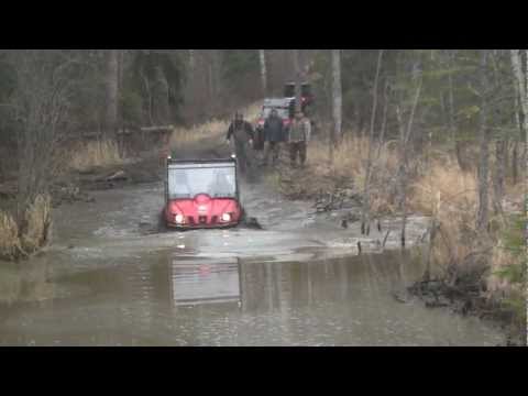 Bushwacker Snake