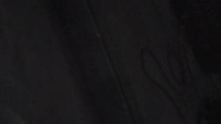 Watch Truth Another New Day video