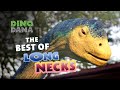 The Best of Long Necks | Dino Dana