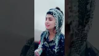 Ax Kurdistan