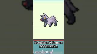 Omg Pokemon Evolution Poochyena