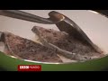 Una chef desnuda en televisión para animar a los hombres a cocinar