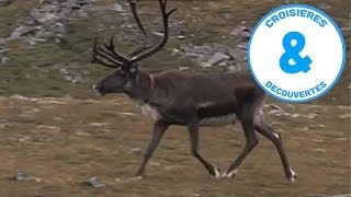 Au Pays Des Lapons - Norvège - Fenêtres Sur Le Monde - Doentaire