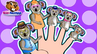 Finger Family Koalas Teach English To Children, Fun Learning Song, Kindergarten Daycare Video
