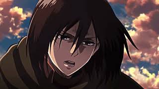 Mikasa Twixtor