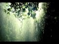 Au son de la pluie, au milieu du silence - Arvo Pärt, Da Pacem Domine