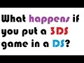 What happens if you put a 3DS game in a DS?