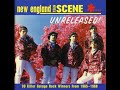 Terry and the Telstars - Stop and Think ('60s GARAGE)