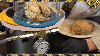 Brain In A Vacuum Chamber