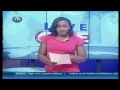Darfur crisis