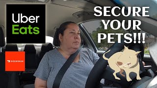 Dashing My Way Out Of Debt Ep. 310