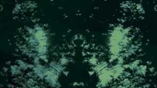 Johan Allerfeldt - Dying Hour