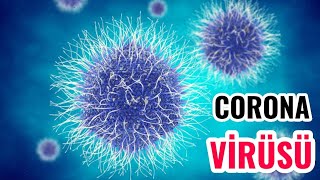 Nereden Çıktı Bu Corona? | Corona Virüs