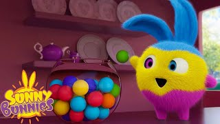 çok renkli tavşanlar | Sunny Bunnies | Türk Çocuk Çizgi Filmleri | WildBrain Tür