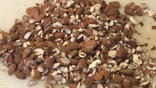 Mandorle Tostate Asmr - Chopping Crunchy Toasted Almonds - 1Min