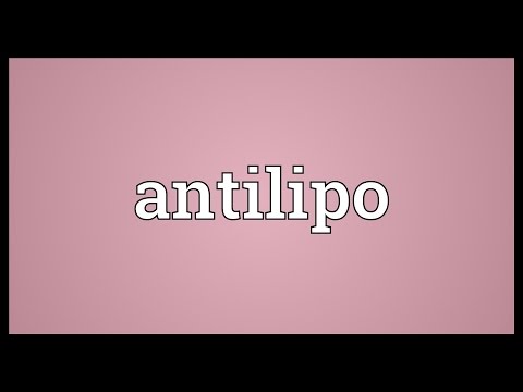 Header of antilipo