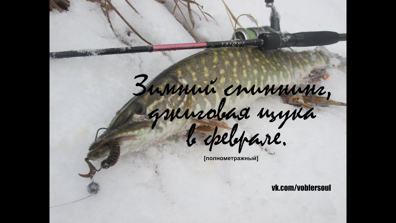 Схема ловли на спиннинг щука Схема ловли на спиннинг щука