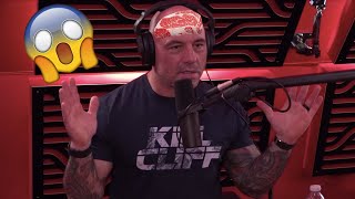 Joe Rogan Ex-Vegan Interview Goes Terribly Wrong