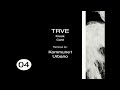 Trve - Krook