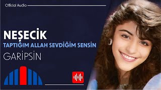 Neşecik - Garipsin Official Audio