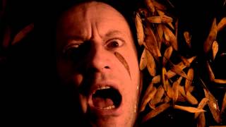 Washington Dead Cats - The river carries me - Clip