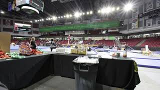 Gymnastics Level 4 Beam In 3D Vr