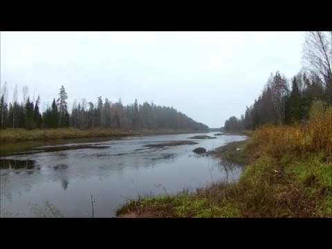 рыбалка на реке луга на налима рыбалка на реке луга на налима
