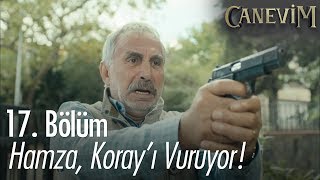 Hamza, Koray'ı öldürüyor - Canevim 17. Bölüm | Final