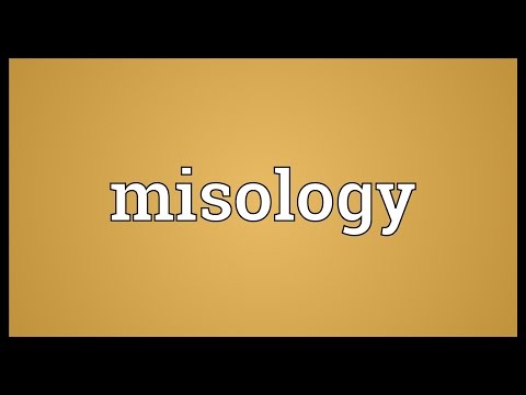 Header of misology