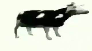 Корова Танцует Танец