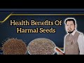 Harmal ke Faidy | Health Benefits Of Harmal Seeds | Hakeem Syed Umar daraz