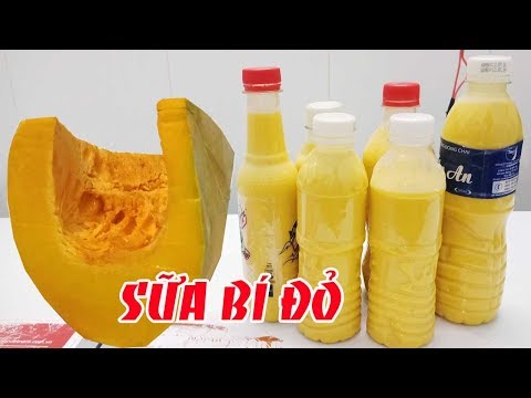 CÁCH LÀM SỮA BÍ ĐỎ ĐƠN GIẢN TẠI NHÀ|Tôi là người Bến Tre