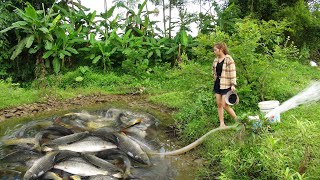 Modern Technology Catch Many Big Fish - Pump Fishing Techniques - Survival In The Rainforest
