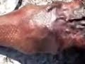 Allah Ka Azaab Machli Larki Ke Shakal Main Youtube images Allah Ka Azaab Machli Larki Ke Shakal Main Youtube