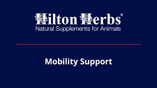 Hilton Herbs UK | Mobility Support
