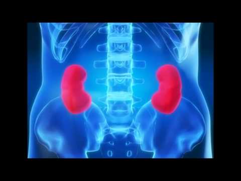 Alimentación y nutrición en el adulto mayor - YouTube Alimentación y nutrición en el adulto mayor - YouTube
