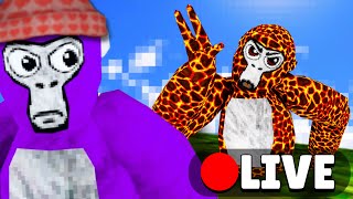 Gorilla Tag Live Road To 6K