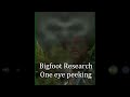 Bigfoot Research - One Eye Peeking