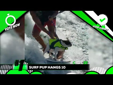 The Top User Submitted Videos Of Week 28 The Top User Submitted Videos Of Week 28