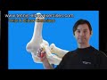 Tennis Elbow Exercises for Hand, Wrist, Forearm & Elbow