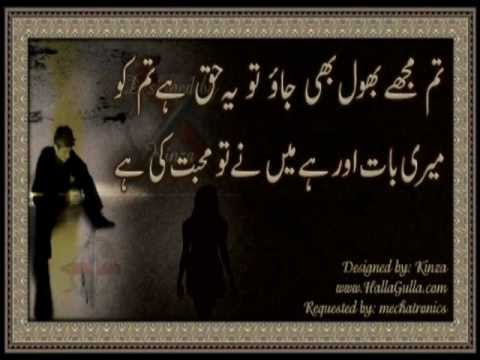 HUM TERE SHAHER MEIN AaYE HEIN MUSAFIR KI TRAH.wmv