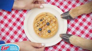 Eggo Oats & Berries – Tug O War