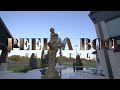 Peekaboss Video preview