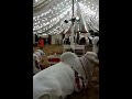 Vip Tent Cow Mandi Karachi 2012 images Vip Tent Cow Mandi Karachi 2012