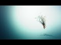 particles