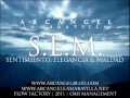 Sentimiento Elegancia Y Maldad - Arcangel (CD Preview) (S.E.M) (Original) 2012