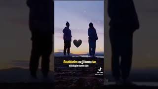 Whatsapp Kurtce Kisa Video