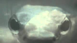 Watch Gravity Kills Inside video