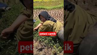 Ga Sengaja Ketemu Janda Desa