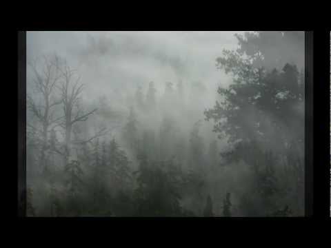 Journey Through The Fog Video